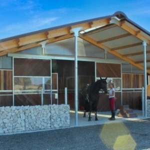 NAVE DE MADERA PARA CABALLOS MANOIR