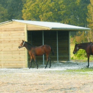 REFUGIO DE MADERA PARA CABALLOS CHEVAUX COTTAGE